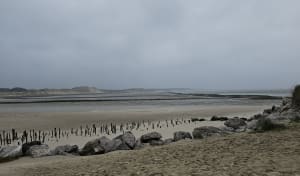 Petite balade avec les enfants - Berck - 15