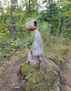 Balade nature par le chemin des Vachères et la Naute - Châtel-Guyon - 11