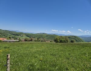 La croix des Cochettes - Bilieu - 9