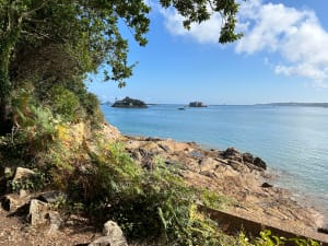 Tronçon GR34 de Carantec, par la Pointe de Penn al Lann - Romain - 18