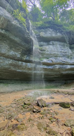 Rondleiding door de Dessoubre-vallei en verfrissend bad - Mont-de-Vougney - 6