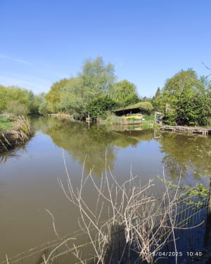 Etang de Romelaëre et niche faunistique - Clairmarais - 32
