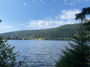 Le tour du lac de Gérardmer - Gérardmer - 42