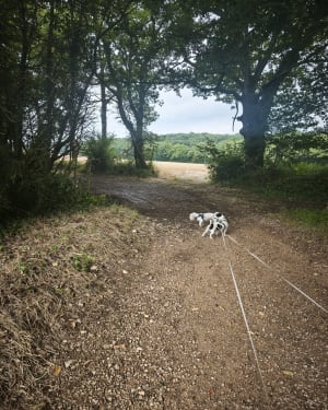 Sancé et son chemin  en pleine nature - Sancé - 3