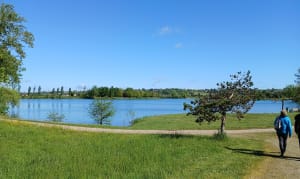 Tour du lac de Beaupuy à Marmande - Beaupuy - 9
