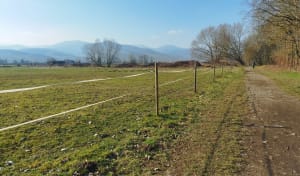 Etangs d'Ingersheim et beautés diverses de la nature - Ingersheim - 4