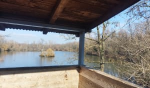 Etangs d'Ingersheim et beautés diverses de la nature - Ingersheim - 5