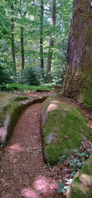 Balade Alsace du Nord de Niederbronn-les-Bains - Pierre - 3