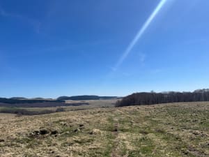 Balade dans la forêt de Montbert à proximité du lac Chauvet - Picherande - 14