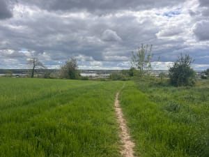 De hoogten van Mauves-sur-Loire - Mauves-sur-Loire - 6