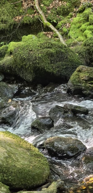 Cascades de Chiloza au départ de Besse - Besse-et-Saint-Anastaise - 38