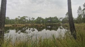 Lac d'Hostens - Hostens - 11