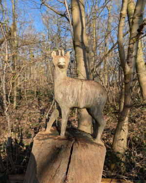 Bois des Cinq Tailles - Monique - 30