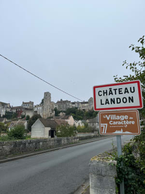 Balade à Château Landon - Sandra - 12