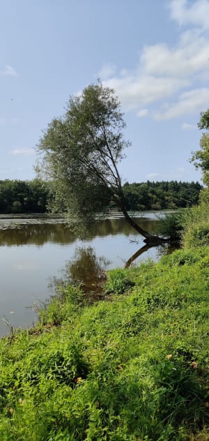 Tour du Lac au Duc, Ploërmel - Ploërmel - 8