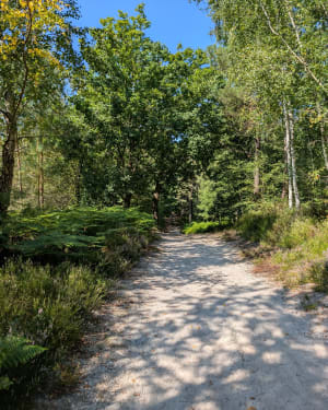 Balade autour de la réserve du petit étang neuf - Hermeray - 4