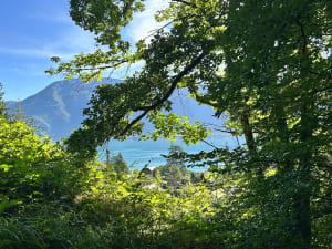 Les Croix du Chuguet, du Crêt et parc animalier. - Sevrier - 7