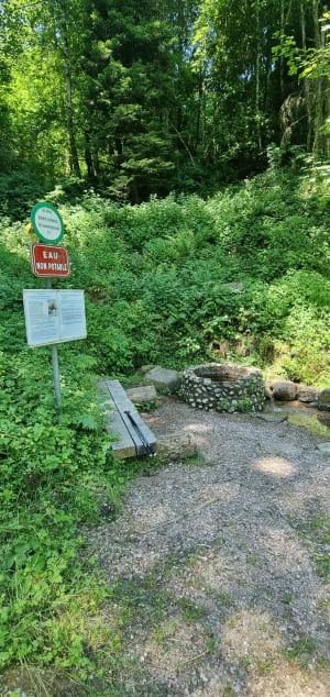 Les hauts de vecoux en passant par chaudefontaine - alain - 8