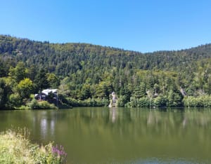 Rando aux lacs de Neuweiher - Rimbach-près-Masevaux - 7
