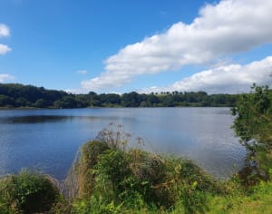 Etang de Rokleu et renaturation parfaite - Trémargat - 4