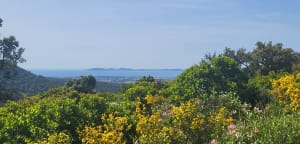 Wandel van Notre-Dame-des-Maures naar de schat van Gaoutabry - CAROLE - 3