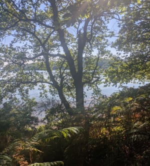 Lanester dans une nature complice - Lanester - 6