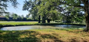 Entre plaine et revermont - Commenailles - 4