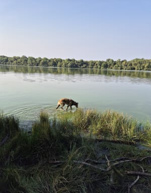 Grande randonnée en forêt de Rambouillet - Rambouillet - 8