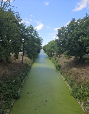 Canal et écluse de Fillé - Fillé - 4