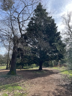 Flânerie au parc du Vivier à Mérignac et douceur de vivre - Mérignac - 4