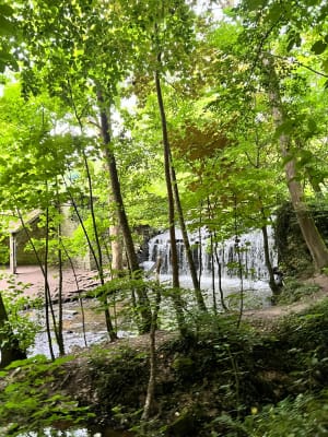Les vaux de Cernay - Sabi - 15