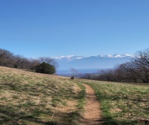 De kleine Salève bij Monnetier - Monnetier-Mornex - 7