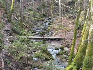 Boucle des Dioux et joli balai des parapentes - Saint-Hilaire du Touvet - 10