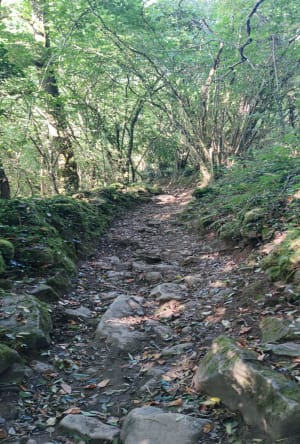 Sentier du granite à Bréel - Richard - 13