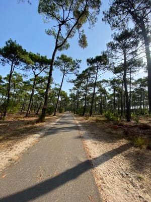 Entre forêt et mer Lacanau Océan - Lacanau - 9