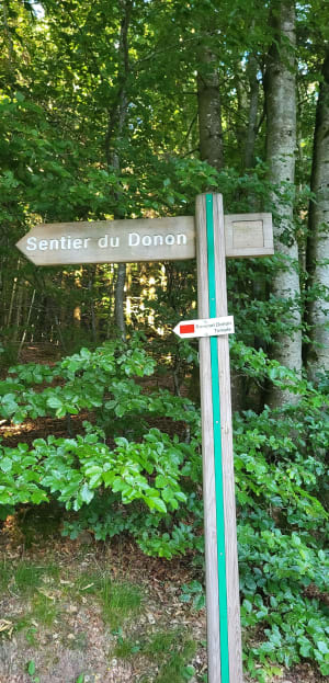 Autour sur temple du Donon et le petit Donon - Grandfontaine - 20