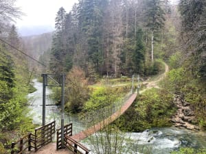 Découverte de la Bienne et passerelles himalayennes - Hauts-de-Bienne - 11