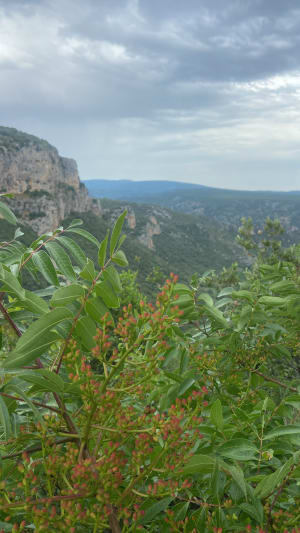 Le cirque de l'Infernet par la boucle des Fenestrettes - Saint-Guilhem-le-Désert - 34