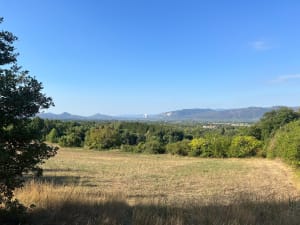 Sur les hauteurs de Loriol-sur-Drôme - Loriol-sur-Drôme - 8