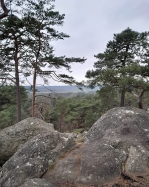 La Behourdiere et le tour du rocher Cassepot - Fontainebleau - 3