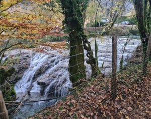 Cascades des Tufs - Les Planches-près-Arbois - 45