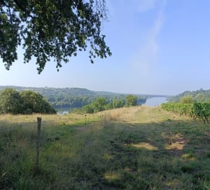 Marche nordique à Oudon et la Loire - Oudon - 2