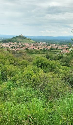 Rando autour de Saint Romain le Puy - Saint-Romain-le-Puy - 5
