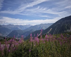 Le Corbier au col du Chal - Villarembert - 8