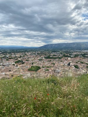 Sint-Jacobsheuvel - Cavaillon - 13