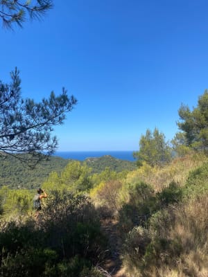 Piste Francillon au départ de Janas - La Seyne-sur-Mer - 2