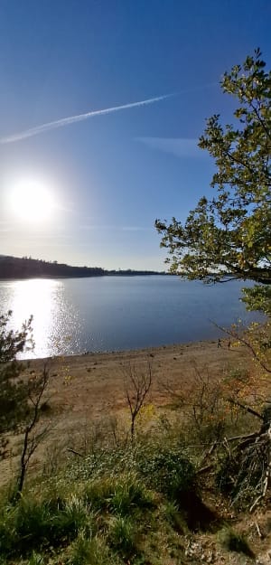 Lac de Saint-Ferréol - Saint-Ferréol - 18