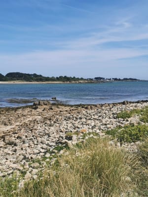 Remonter le temps depuis la Trinité sur Mer - La Trinité-sur-Mer - 6