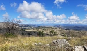 Boucle depuis Tourrettes-sur-Loup et panorama grandiose - Tourrettes-sur-Loup - 10