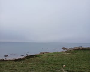 Balade sur l'Herbaudiere - Noirmoutier-en-l'Île - 13